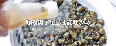 ​螺蛳剪了尾巴放水里一天还能吃吗视频 螺蛳剪了尾巴放水里一天还能吃吗图片