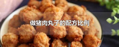 ​肉丸子的制作方法和配料比例 肉丸子用什么材料