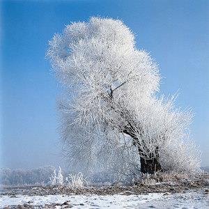 下雪天出门要注意什么