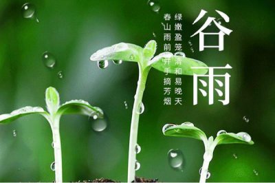 ​谷雨节气的特点和风俗 谷雨节气是几月几号