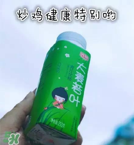 酸奶什么牌子的好 酸奶哪个牌子最好