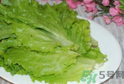 ​生菜是发物吗?生菜是不是发物?